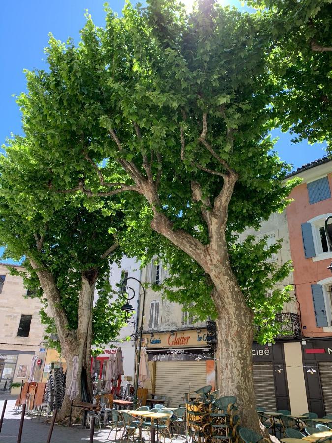 Fleurs De Provence Apartment LʼIsle-sur-la-Sorgue Exterior foto